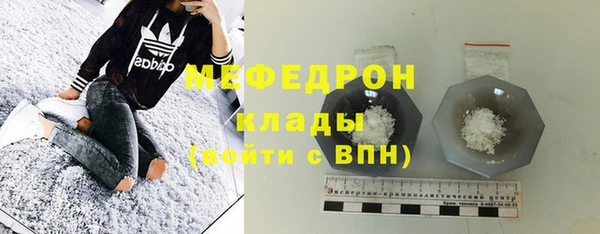 сатива Ельня
