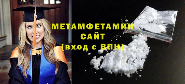 сатива Ельня