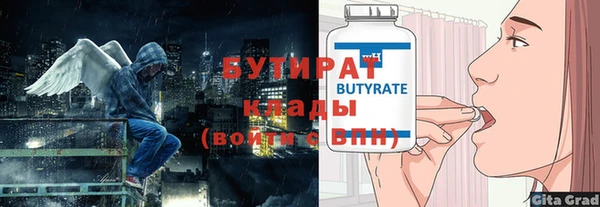 сатива Ельня