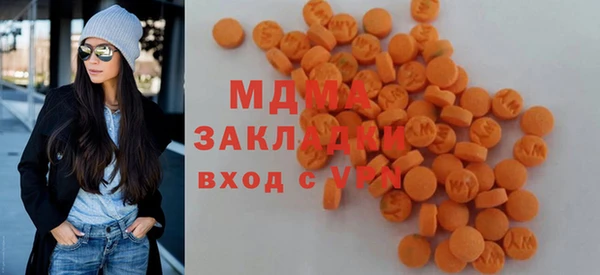 сатива Ельня