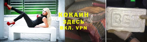 сатива Ельня