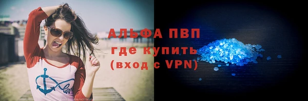 сатива Ельня