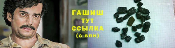 сатива Ельня