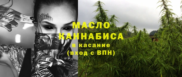 сатива Ельня