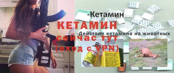 прущие грибы Новодвинск
