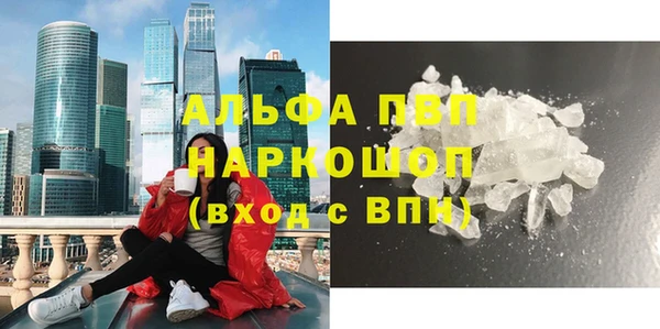 сатива Ельня