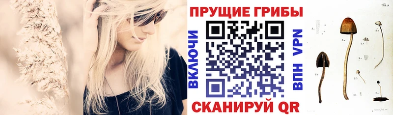 Галлюциногенные грибы мицелий  дарнет шоп  Калачинск 